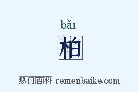 柏是什么意思的图片